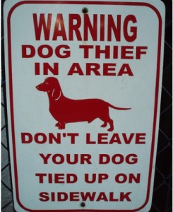 Warning Dog Thief Area ~ Don't Leave Your Dog Tied Up On Sidewalk